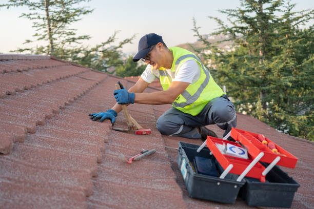 Roof Gutter Cleaning in Gang Mills, NY